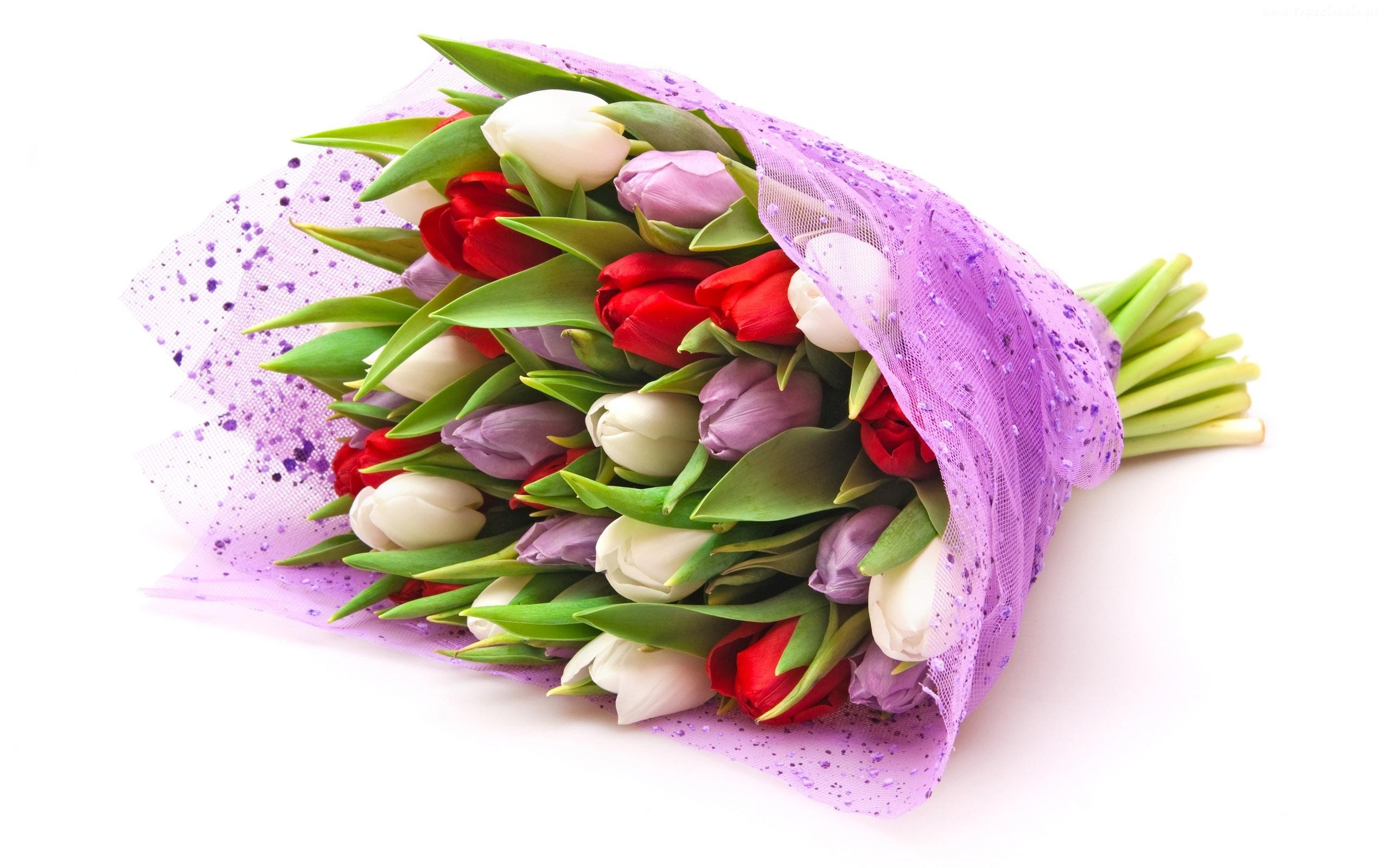 Интернет-магазин упаковки для цветов «Оазис» 