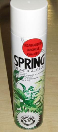 Лак д/листьев SPRING 600 мл    